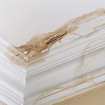 Water damage visible on a ceiling corner, showing peeling paint and stained wood trim. Indicates potential leak issues needing attention.