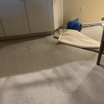 A partially rolled-up rug on a kitchen floor with a blue air blower nearby, indicating recent water damage or cleaning efforts.