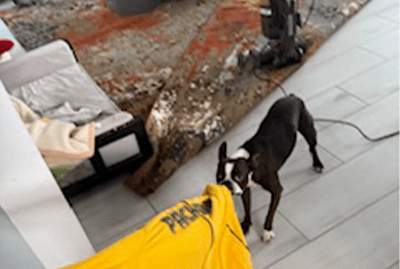 A playful dog pulls a yellow shirt while standing on tiled flooring, with a vacuum cleaner and a patterned rug in the background.